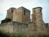 Castello di Magrin - Castello ospita il Museo del pastello