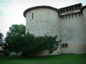 Castello di Mauriac - Torre (fortezza), alberi e prato