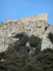Il castello di Peyrepertuse - Castello di Peyrepertuse: Resti della fortezza arroccata