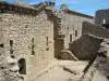 Il castello di Peyrepertuse - Castello di Peyrepertuse: Castello di San Giorgio (Castello di San Jordi)