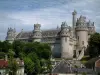 Castello di Pierrefonds - Castello feudale domina alberi e le case della città