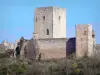 Castello di Puivert - Tenere, la torre e le rovine del castello cataro