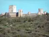 Castello di Puivert - Vista del castello cataro con la sua torre, le sue torri e le tende in un ambiente boschivo