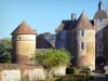 Castello di Ratilly - Ingresso al castello e alla colombaia