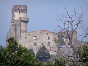 Castello di Tournoël - Resti di castello medievale e gli alberi in primo piano sulla città di Volvic, nel Parco Naturale Regionale dei Vulcani d'Alvernia