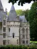 Castello di Vigny - Torre delle caditoie e cappella del castello; nel Parco Naturale Regionale del Vexin francese