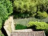 Castelmoron-sur-Lot - Vegetação à beira da água