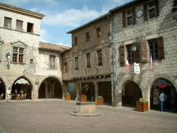 Castelnau-de-Montmiral - Führer für Tourismus, Urlaub & Wochenende im Tarn