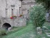 Castelnau-Pegayrols - Antigo convento de Saint-Michel, gerânios em vasos e arbustos em flor