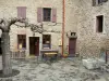 Castelnou - Place du village agrémentée d'un arbre, boutique, fontaine et façades de maisons en pierre ocre