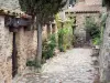 Castelnou - Beco pavimentado forrado com casas e plantas de pedra