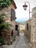 Castelnou - Beco pavimentado forrado com casas de pedra