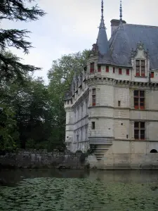 Castelo de Azay-le-Rideau - Torres de canto do castelo renascentista, rio (Indre) com nenúfares e árvores