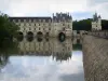 Castelo de Chenonceau - Castelo renascentista (Château des Dames) com sua galeria de dois andares e sua ponte sobre o Cher (rio) e a Torre Marques (manter)