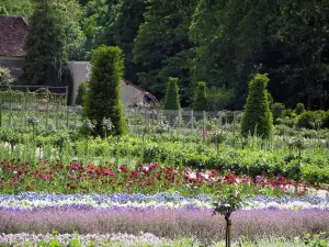 Castelo de Chenonceau - Jardim de Flores, horta