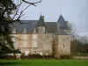 Castelo de Colombières - Castelo, gramado e árvore
