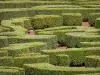 Castelo dos Courances - Detalhe da caixa de bordados de buxo do jardim francês