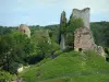 Castelo Crozant - Ruínas (restos) da fortaleza e árvores