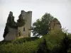 Castelo Crozant - Ruínas (restos) da fortaleza