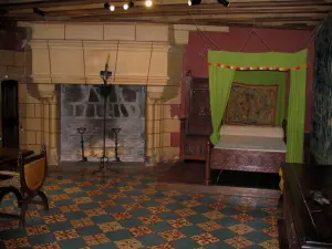 Castelo de Langeais - Dentro do castelo: câmara de aristoloches