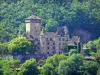 Castelo Pesteils - Castelo medieval com vista para o vale verdejante do Cère; na cidade de Polminhac