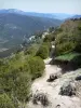 Castelo Peyrepertuse - Trilha com vista para a paisagem verde ao redor dos Corbières