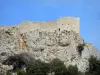 Castelo Peyrepertuse - Restos da fortaleza empoleirada