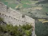 Castelo Peyrepertuse - Fortificações de Peyrepertuse e paisagem verde circundante