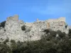 Castelo Peyrepertuse - Fortaleza empoleirada em seu promontório rochoso