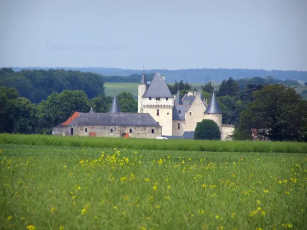 Castelo Rivau - Campo, em, primeiro plano, castelo, e, árvores
