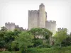 Castelo Roquetaillade - Masmorra e torres do novo castelo em um cenário verde