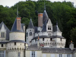 Castelo de Ussé - Castelo e árvores