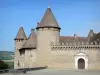 Castelo de Virieu - Fortaleza medieval, calabouço, porta da frente e pátio com fonte