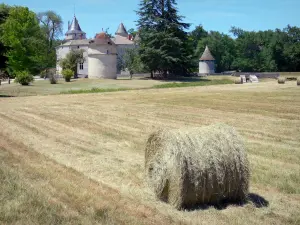 Castillo de La Brède - Pajar en primer plano con vistas al castillo y su parque