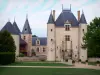 Castillo de Chamerolles - Castillo, a la vivienda el Museo del Perfume, y su puerta de entrada, en Chilleurs-aux-Bois