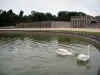 Castillo de Chantilly - Piscina de agua con los cisnes