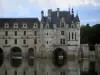 Castillo de Chenonceau - Castillo renacentista (Château des Dames), con su galería de dos pisos y su puente sobre el Cher (río)