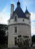 Castillo de Chenonceau - Tour de las Marcas (calabozo)