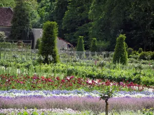 Castillo de Chenonceau - Jardín de flores, jardín