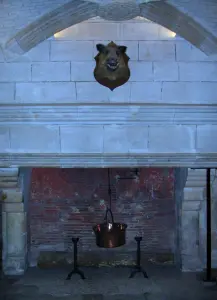 Castillo de Chenonceau - Cocina del castillo: la chimenea de la Oficina