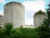 Castillo de Le Coudray-Salbart - Los restos de la fortaleza rodeada de vegetación, en la ciudad de Échiré