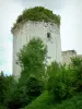 Castillo de Le Coudray-Salbart - Torre de la fortaleza en la ciudad de Échiré