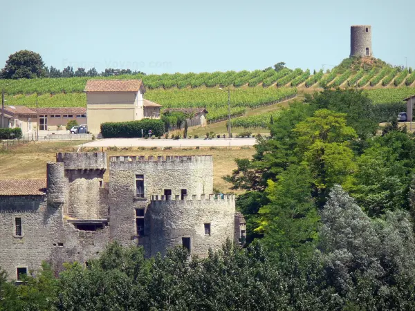 El castillo de Guilleragues - Guía turismo, vacaciones y fines de semana en Gironda