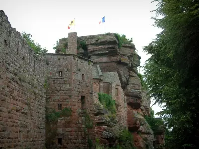 Castillo de Haut-Barr