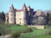 Castillo de Lespinasse - Castillo fortificado medieval rodeado de vegetación, en la ciudad de Saint-Beauzire