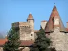 Castillo de Lespinasse - Torre y torreón con almenas