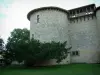Castillo de Mauriac - Tower (fortaleza), los árboles y el césped