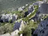 Castillo de Peyrepertuse - Restos de la fortaleza encaramada