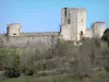 Castillo de Puivert - Puerta de torre cuadrada, muros cortina y torres redondas del castillo cátaro