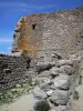 Castillo de Quéribus - Restos de la fortaleza